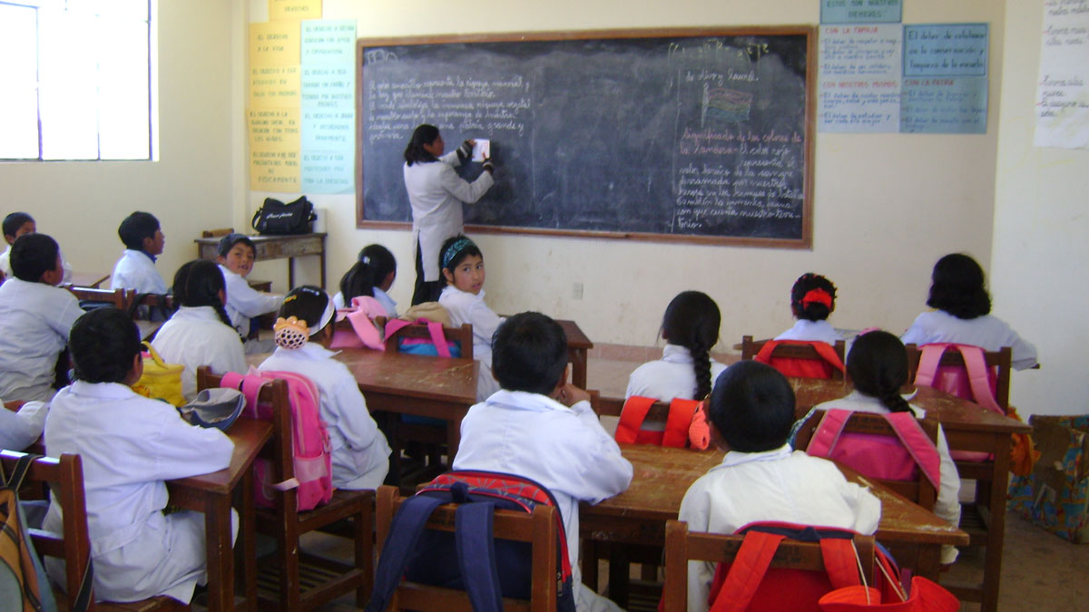 fotos-postulaciones/1684852195_docente-primaria.jpg