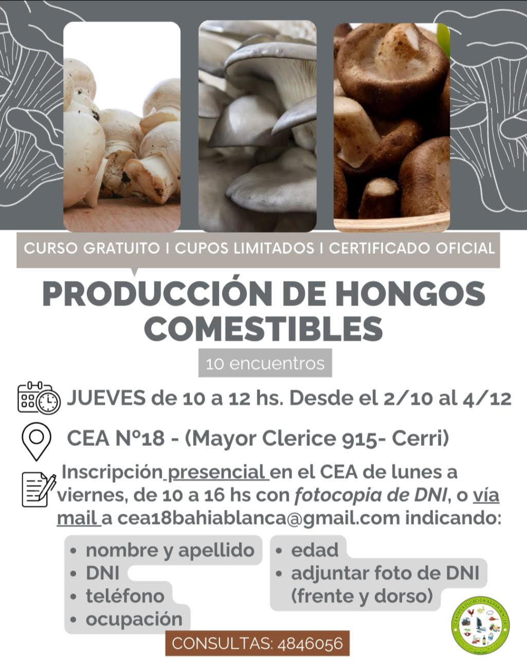 fotos-postulaciones/1758037090_CEA18-HONGOS.jpg